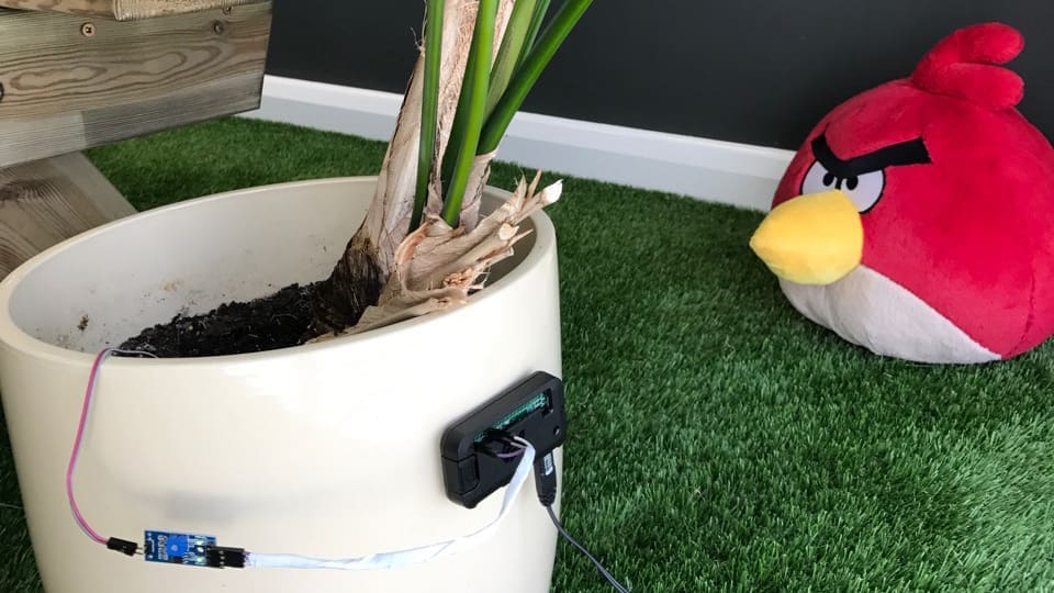 Pi Zero W Soil Moisture Sensor and Slack